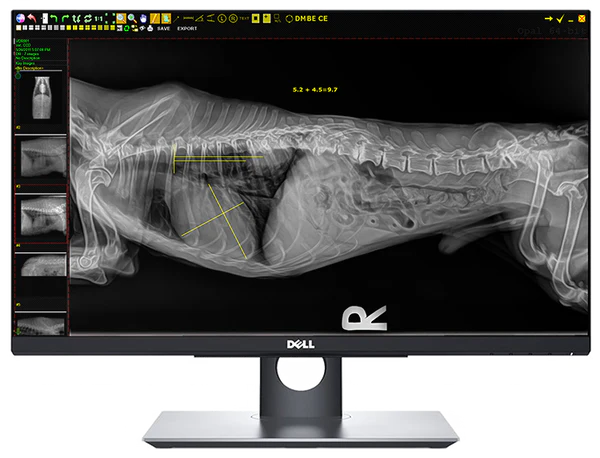 20/20 VFPH Hybrid 17x17 Veterinary Direct Digital Imaging System - DR Panel