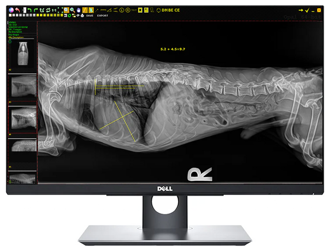 20/20 VFPW Wireless 14x17 Veterinary Direct Digital Imaging System - DR Panel
