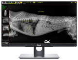 20/20 VFPW Wireless 14x17 Veterinary Direct Digital Imaging System - DR Panel